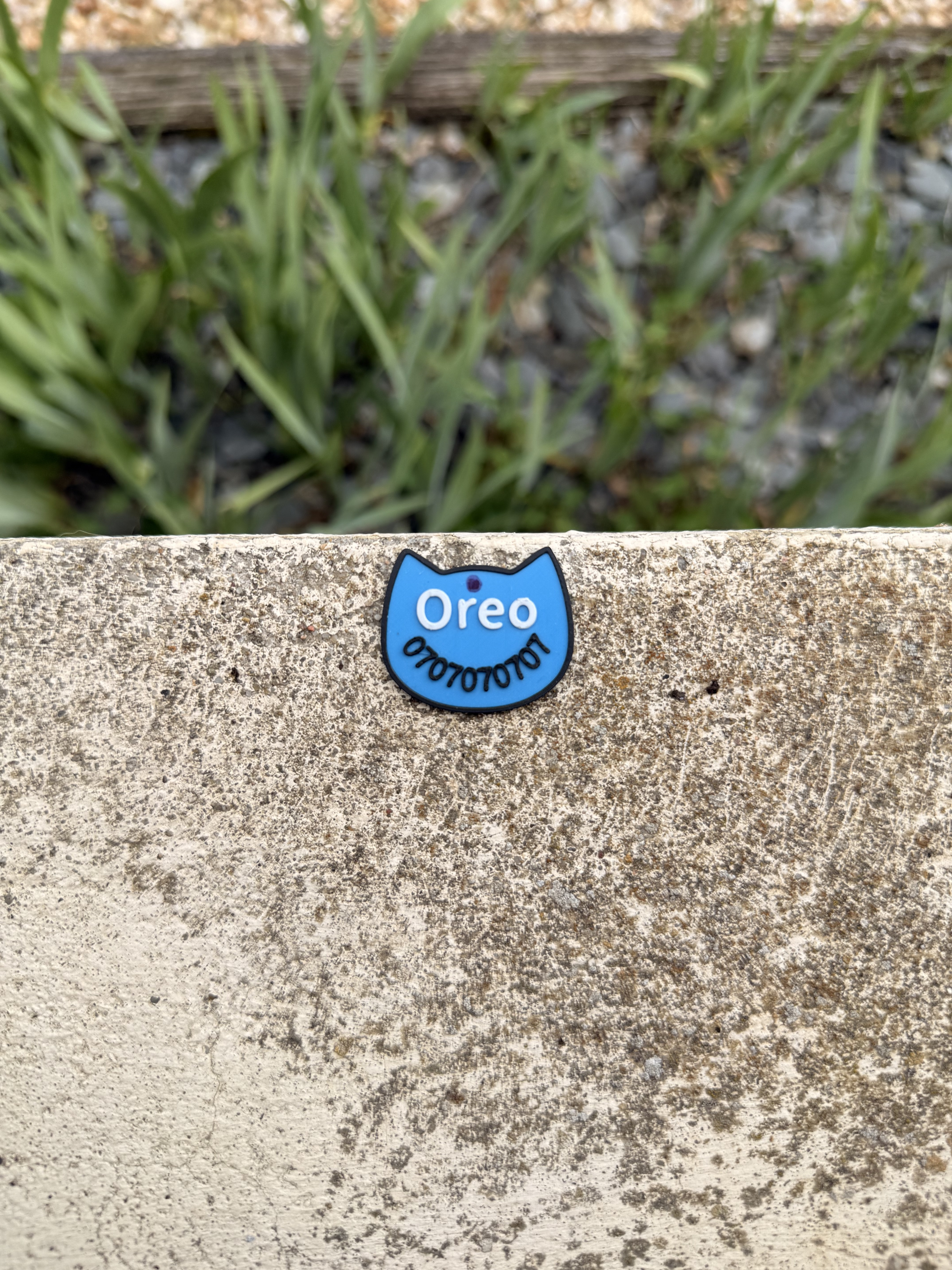 Badge Collier Chat Personnalisé - Impression 3D artisanale Plyxi3D